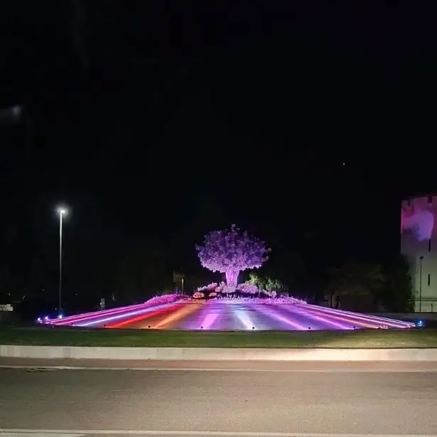 Gallery del servizio NCC Brindisi Vital&Car